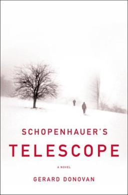 Schopenhauer's Telescope