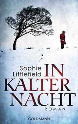 In kalter Nacht: Roman