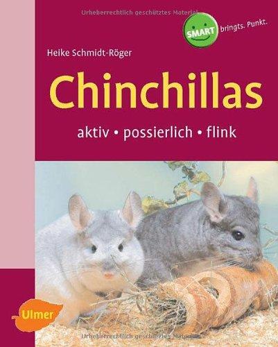 Chinchillas: Aktiv - possierlich - flink