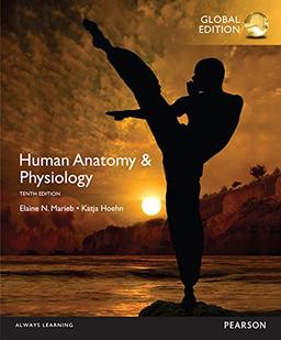 Human Anatomy & Physiology, Global Edition