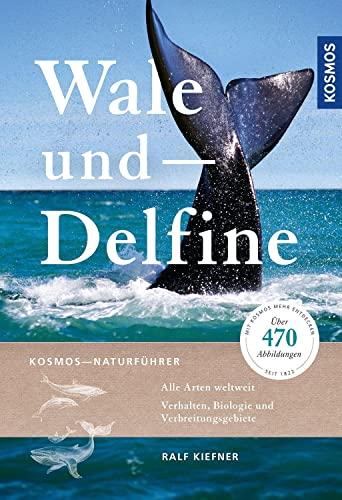 Wale und Delfine: Alle Arten weltweit - Verhalten, Biologie und Verbreitungsgebiete