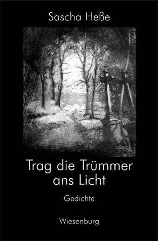 Trag die Trümmer ans Licht: Gedichte