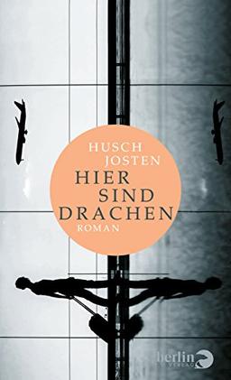 Hier sind Drachen: Roman