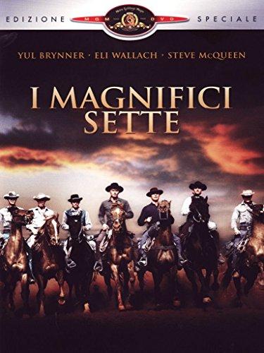 I magnifici sette (edizione speciale) [IT Import]