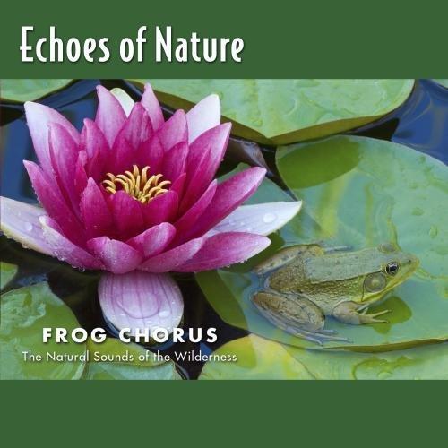 Echoes of Nature: Frog Chorus