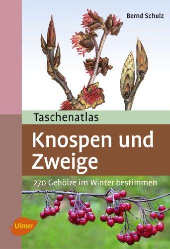 Taschenatlas Knospen und Zweige: 270 Gehölze im Winter bestimmen