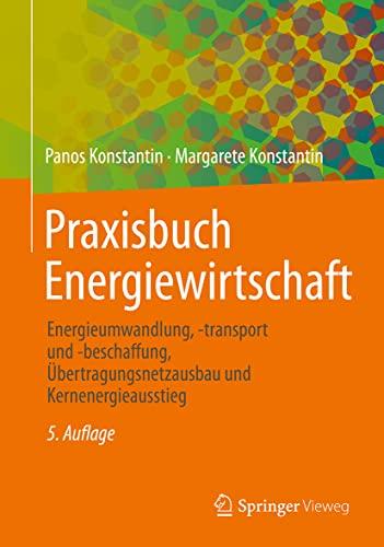 Praxisbuch Energiewirtschaft: Energieumwandlung, -transport und -beschaffung, Übertragungsnetzausbau und Kernenergieausstieg