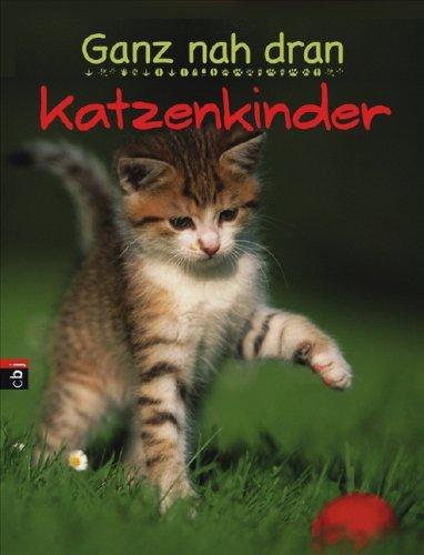 Ganz nah dran - Katzenkinder