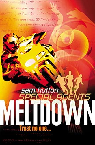 Meltdown (Special Agents, Band 6)