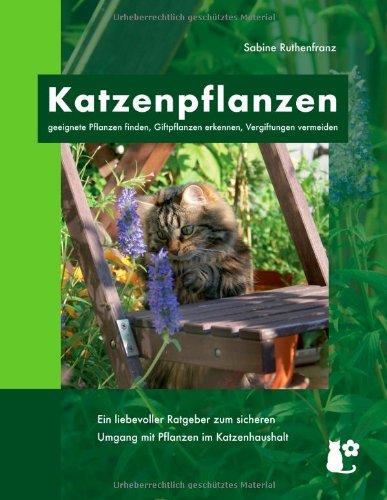 Katzenpflanzen: geeignete Pflanzen finden, Giftpflanzen erkennen, Vergiftungen vermeiden