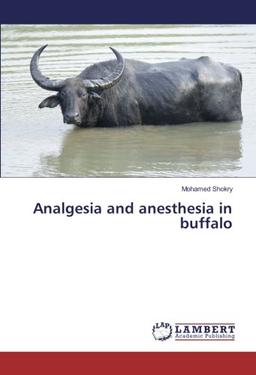 Analgesia and anesthesia in buffalo