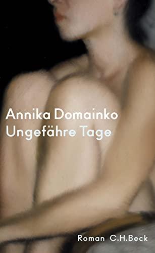 Ungefähre Tage: Roman