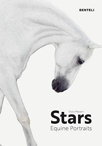 Stars : equine portraits