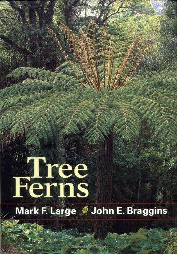 Tree Ferns