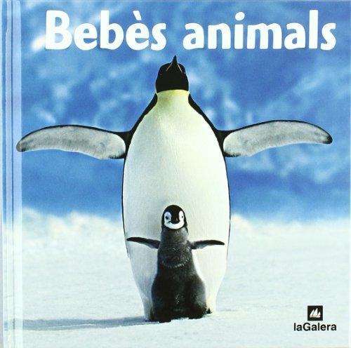 Bebès animals (El món en fotos)