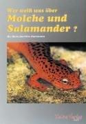 Wer weiß was über Molche und Salamander