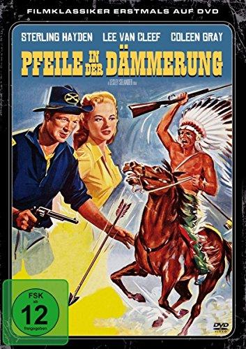 Pfeile in der Dämmerung