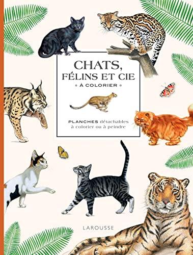 Chats, félins et cie à colorier : planches détachables à colorier ou à peindre