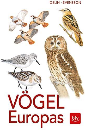 Vögel Europas: Alle Arten, 1800 Farbzeichnungen, 460 Verbreitungskarten (BLV)