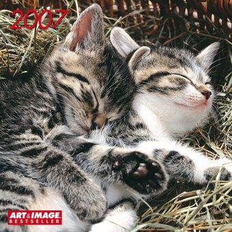 Chats 2004 cal 30x30 (Calendier 30x30)