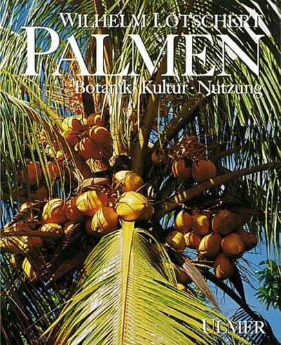 Palmen