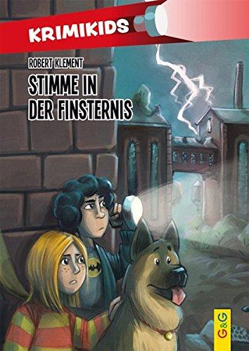 KrimiKids - Stimme in der Finsternis (KrimiKids / Lesemotivation mit einem jungen österreichischen AutorInnenteam)