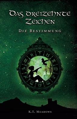 Das dreizehnte Zeichen: Die Bestimmung (Die Saga der 13 Zeichen, Band 1)