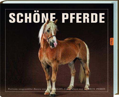 Schöne Pferde