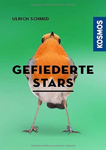 Hier piept´s! - Gefiederte Stars und ihre Songs