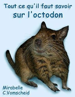 Tout ce qu'il faut savoir sur l'octodon