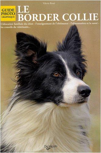 Le border collie