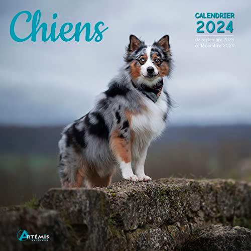 Chiens : calendrier 2024 : de septembre 2023 à décembre 2024