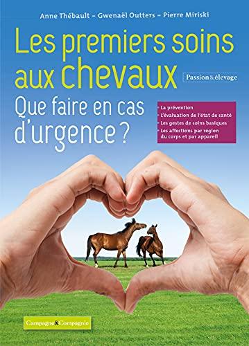 Les premiers soins aux chevaux : que faire en cas d'urgence ?