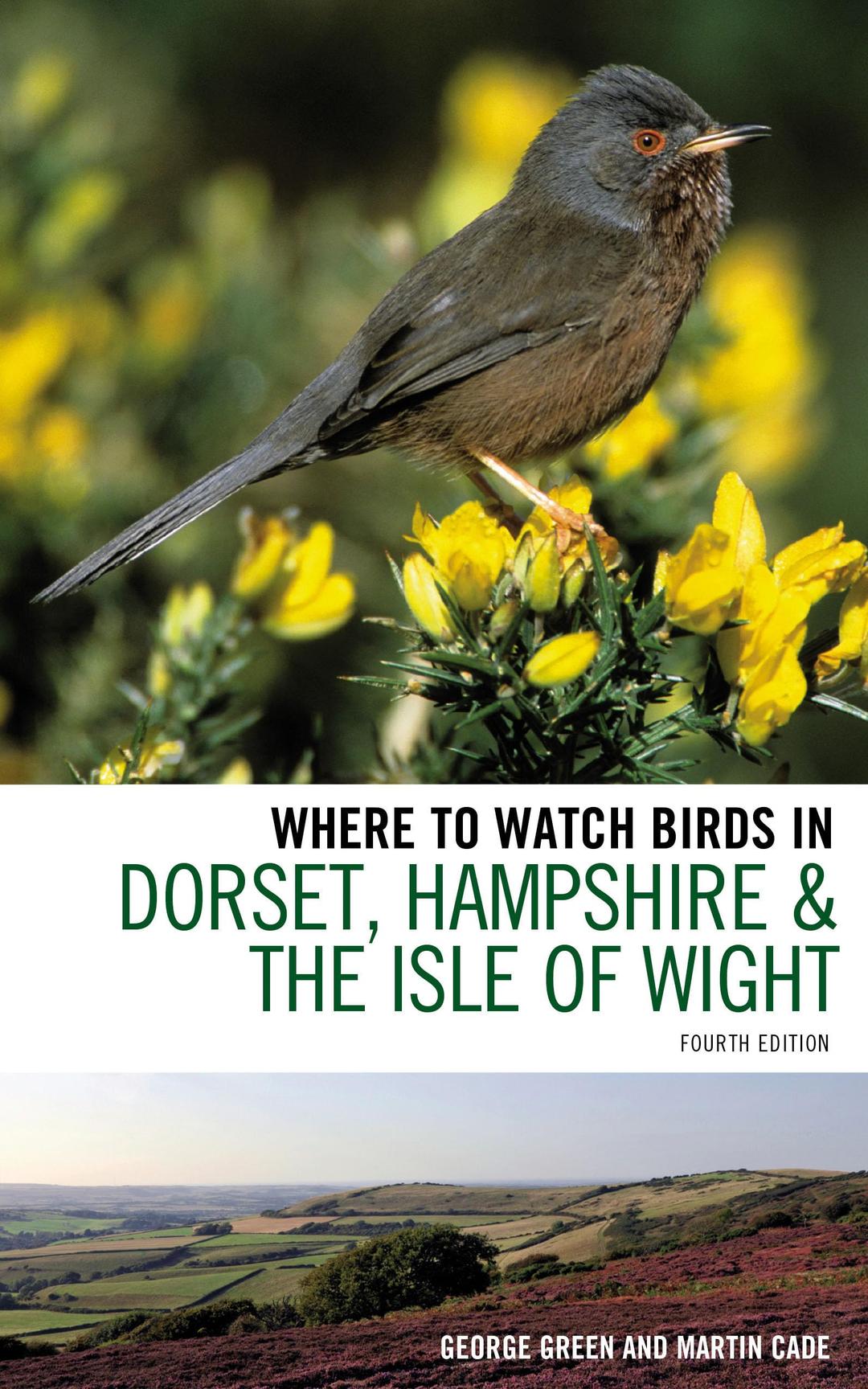 Where to Watch Birds in Dorset, Hampshire and the Isle of Wight