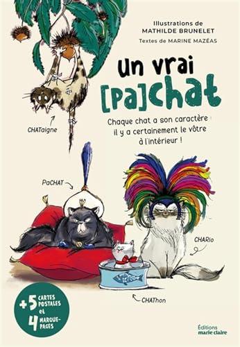 Un vrai (pa)chat : chaque chat a son caractère : il y a certainement le vôtre à l'intérieur !