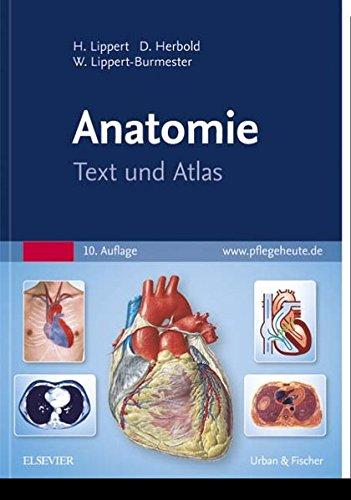 Anatomie: Text und Atlas