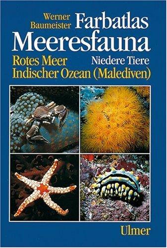 Farbatlas Meeresfauna. Rotes Meer, Indischer Ozean (Malediven): Farbatlas Meeresfauna, 2 Bde., Bd.1, Niedere Tiere: Niedere Tiere. Rotes Meer, Indischer Ozean (Malediven)