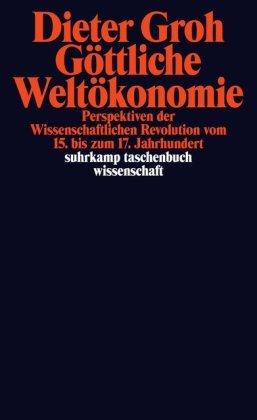 Göttliche Weltökonomie: Perspektiven der wissenschaftlichen Revolution vom 15. bis zum 17. Jahrhundert (suhrkamp taschenbuch wissenschaft)