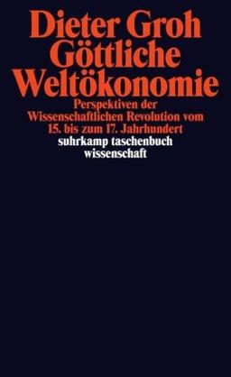 Göttliche Weltökonomie: Perspektiven der wissenschaftlichen Revolution vom 15. bis zum 17. Jahrhundert (suhrkamp taschenbuch wissenschaft)