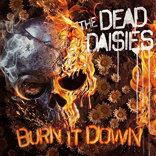 Burn It Down (CD Digi + Bonustrack + Poster)