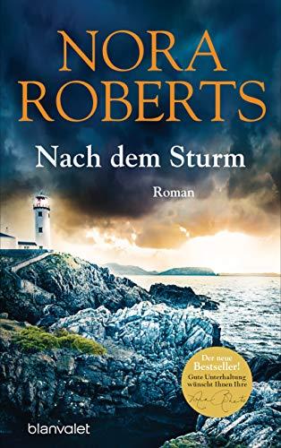 Nach dem Sturm: Roman