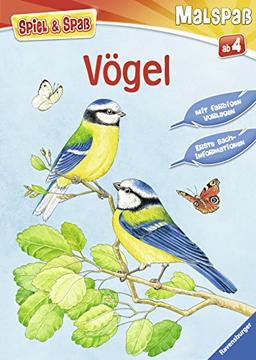 Spiel & Spaß - Malspaß: Vögel