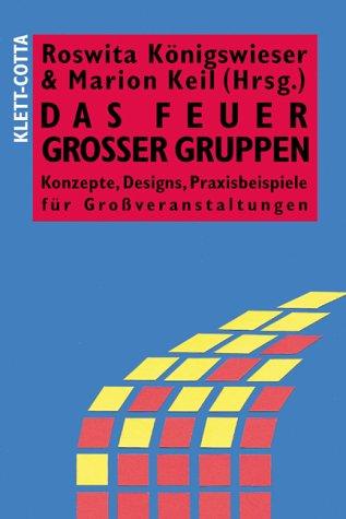 Das Feuer großer Gruppen - Konzepte, Designs, Praxisbeispiele für Großveranstaltungen