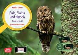 Eule, Fuchs und Hirsch. Tiere im Wald: Entdecken - Erzählen - Begreifen: Wissen für Kita-Kinder. Kamishibai-Bildkartenset mit Memo-Spiel, um gemeinsam ... für unser Erzähltheater Kamishibai)