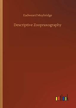 Descriptive Zoopraxography