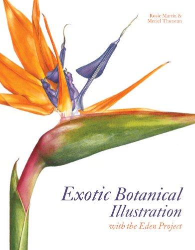 Exotic Botanical Illustration: With the Eden Project