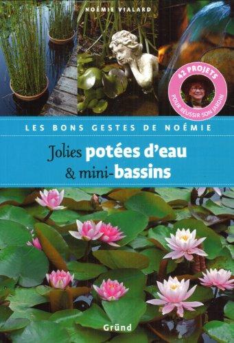 Jolies potées d'eau & mini-bassins