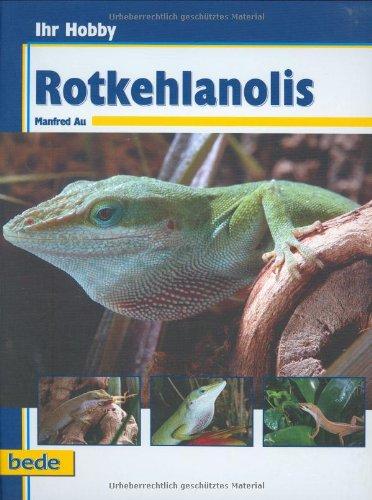 Ihr Hobby Rotkehlanolis