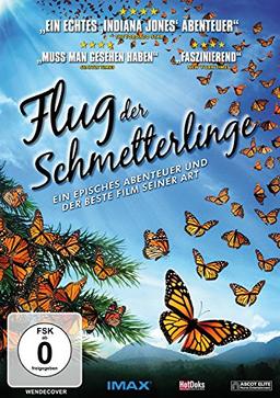 Flug der Schmetterlinge