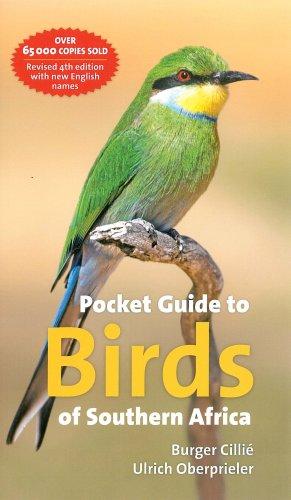 Pocket Guide to Birds of Southern Africa